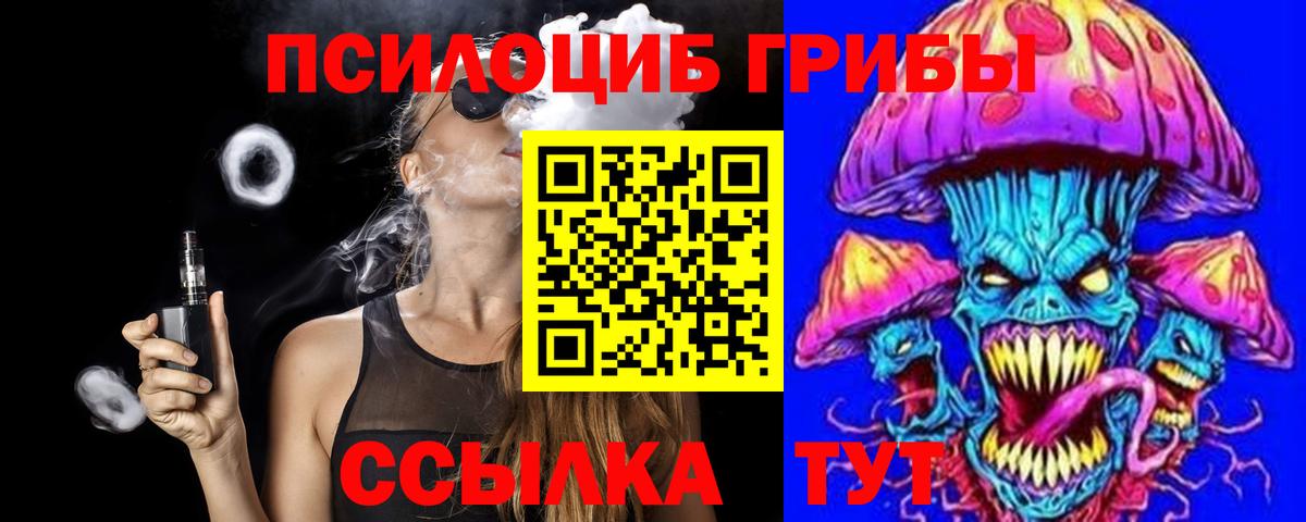 Кимовск  Псилоцибиновые грибы прущие грибы  Галлюциногенные грибы Psilocybe  Вход с VPN 